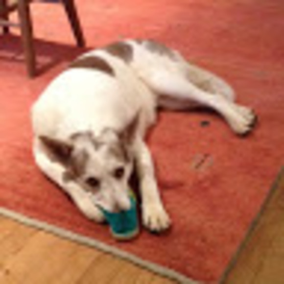 Meet your Posher, Grace - Picture 1 of 1